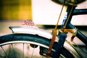 Jajeongeo Collection Image