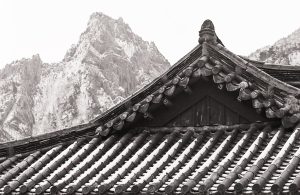 Korea Passage Collection Image