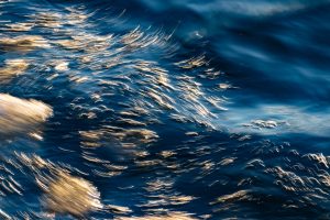 Frozen Fire Collection Image